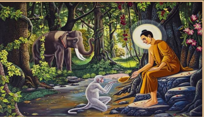 Tranh dán tường phật giáo Đức Phật và chú khỉ nhỏ - 1