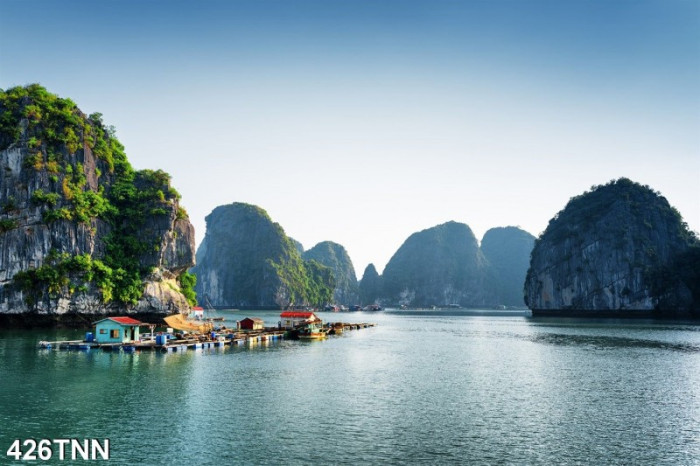 Tranh phong cảnh biển