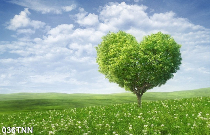 Tranh dán tường  phong cảnh cây trái tim xanh - 