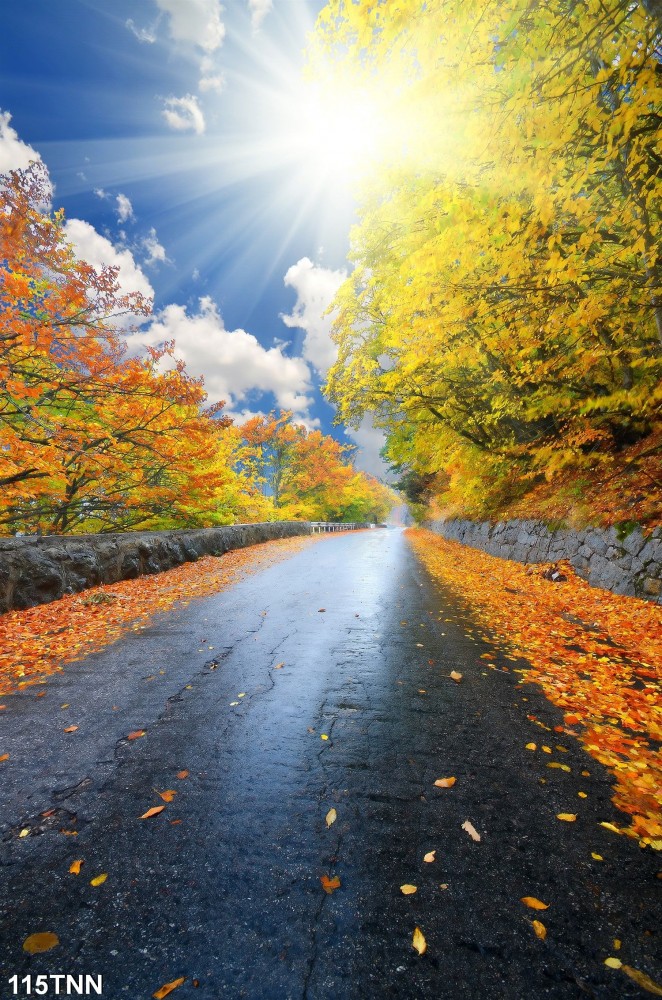 Tranh dán tường  phong cảnh con đường mùa thu lá vàng rơi - 