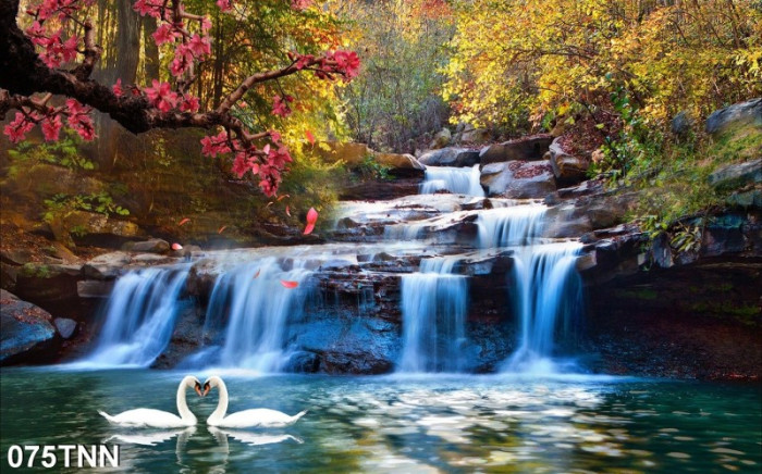 Tranh phong cảnh đôi thiên nga bên dòng thác