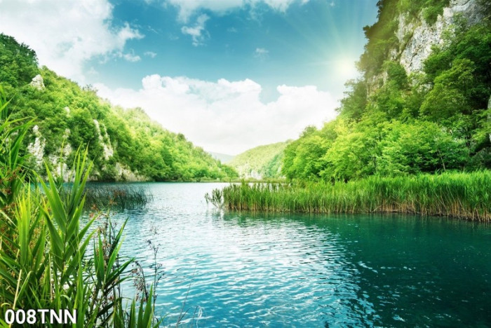 Tranh phong cảnh dòng sông và rừng cây