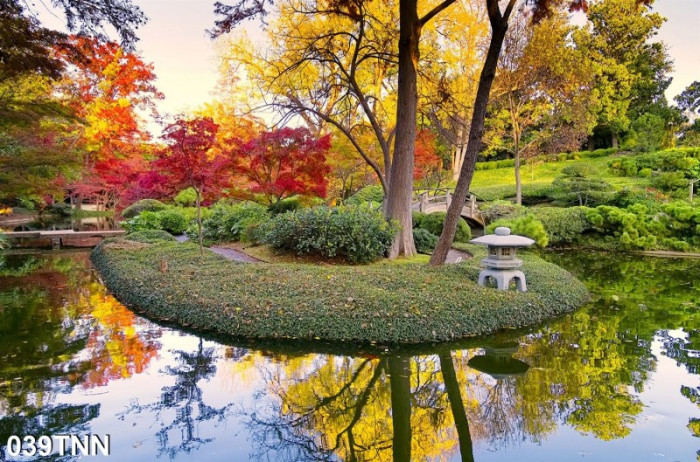 Tranh phong cảnh hồ mùa thu