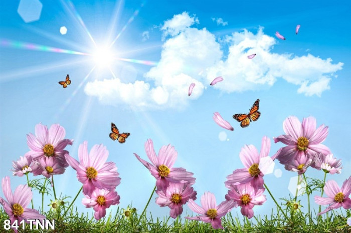 Tranh dán tường  phong cảnh hoa và bướm bay