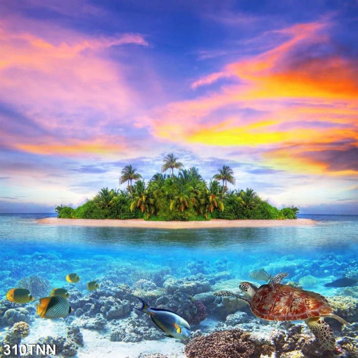 Tranh dán tường  phong cảnh hòn đảo dừa