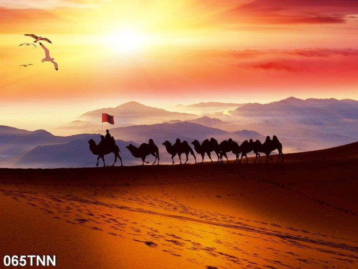 Tranh dán tường  phong cảnh sa mạc và đàn lạc đà
