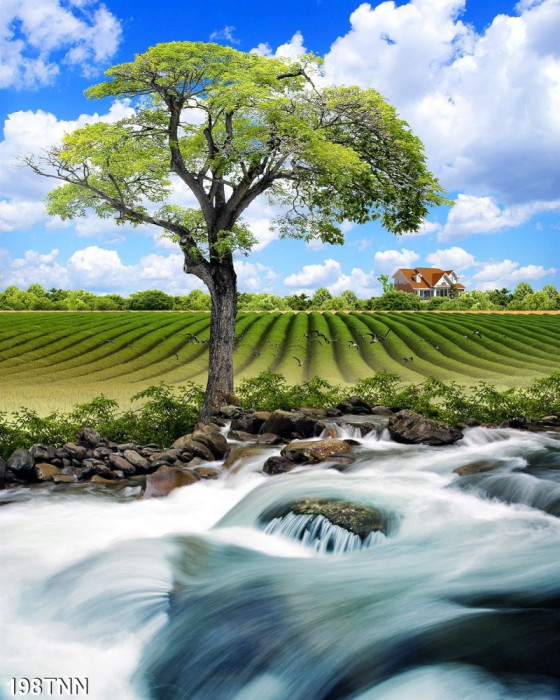 Tranh phong cảnh thác nước và cây xanh