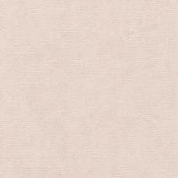 Giấy dán tường 14194