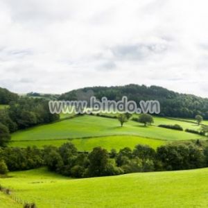 Tranh panorama của vùng nông thôn ở Bắc Wales
