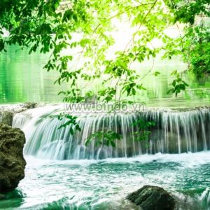 Tranh thác rừng sâu ở Thái Lan Tranh thác rừng sâu ở Thái Lan