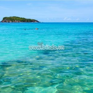 Tranh biển nhiệt đới bình dị trong ngày nắng Tranh biển nhiệt đới bình dị trong ngày nắng