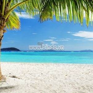 Tranh bãi biển Philippines