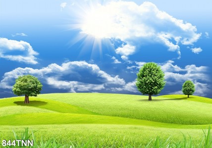 Tranh dán tường  phong cảnh cây xanh và cánh đồng cỏ xanh