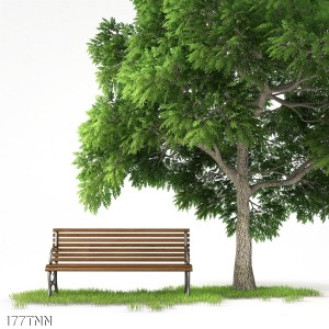 Tranh dán tường  phong cảnh chiếc ghế và cây xanh