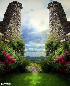 Tranh dán tường  phong cảnh đôi tháp 