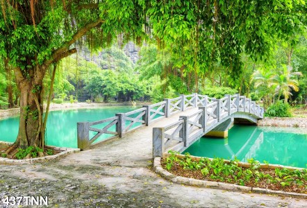 Tranh dán tường  phong cảnh dòng nước trong xanh