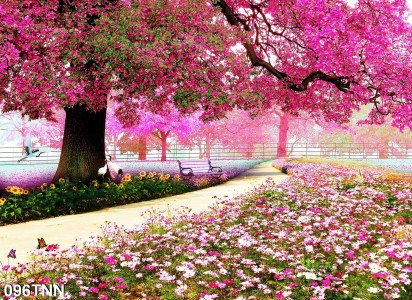 Tranh dán tường  phong cảnh  khu vườn hoa hồng 