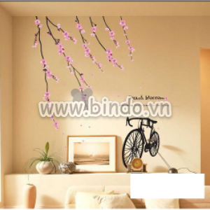 Decal dán tường Hoa đào, cành đào và xe đạp