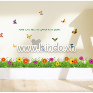 Decal dán tường Chân tường cúc đồng tiền 2