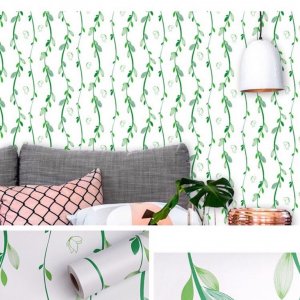 Decal dán tường Giấy decal cuộn Dây leo