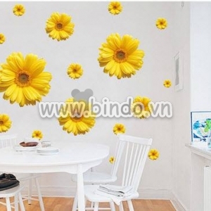 Decal dán tường Hoa cúc đồng tiền vàng