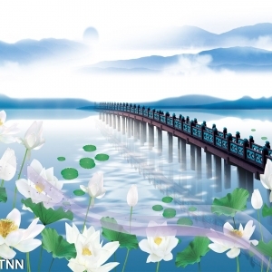 Decal dán tường Tranh dán tường  phong cảnh hoa sen trắng và cây cầu