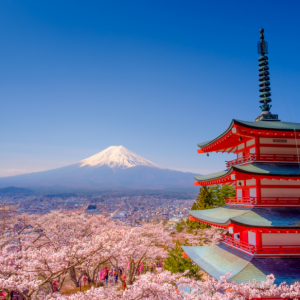 Decal dán tường Tranh  phong cảnh núi non tuyệt đẹp Fuji và chùa Chureito đỏ với hoa anh đào sakura(Nhật Bản)